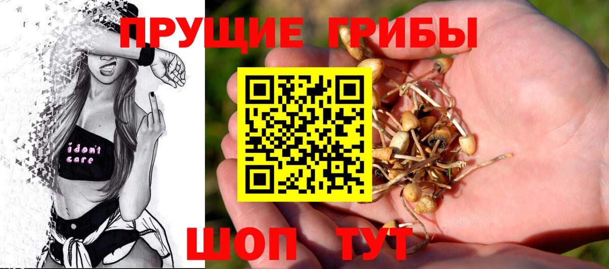 Галлюциногенные грибы Psilocybine cubensis Коркино