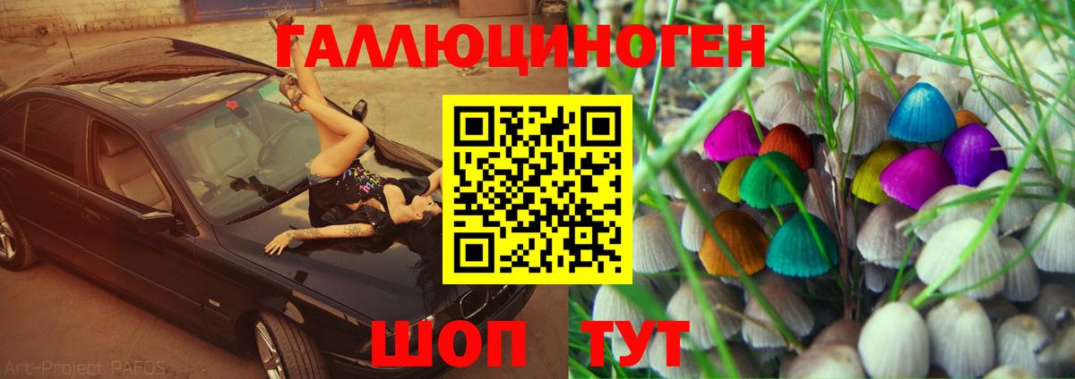 Коркино  Псилоцибиновые грибы GOLDEN TEACHER  Вход с VPN 